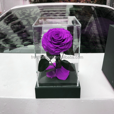 Preserved Rose With Stem In Acrylic box-21