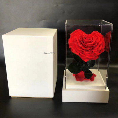 Preserved Rose With Stem In Acrylic box-22