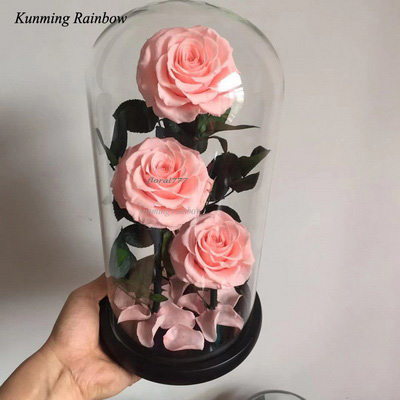 Three-3 Preserved Rose In Glass Dome Peach Color+black box