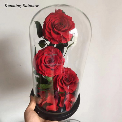 Three-3 Preserved Rose In Glass Dome- Red Color+black gift boxe
