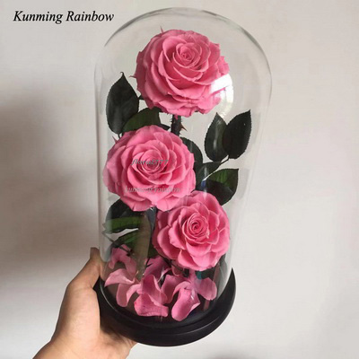 Three-3 Preserved Rose In Glass Dome-Hot Pink+black gift boxe