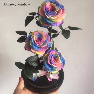 Three-3 Preserved Rose In Glass Dome-Rainbow Color++black gift boxe