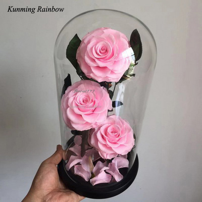Three-3 Preserved Rose In Glass Dome-Bright Pink+black gift boxe