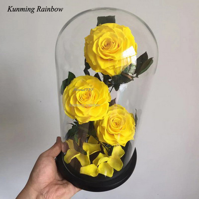 Three-3 Preserved Rose In Glass Dome-Yellow+black gift boxe