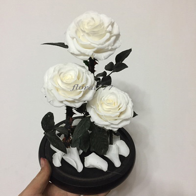 Three-3 Preserved Rose In Glass Dome-White +black gift boxe