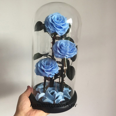 Three-3 Preserved Rose In Glass Dome-Sky blue +black gift boxe