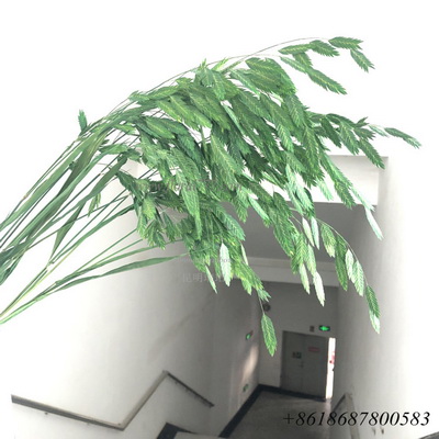 preserved Chasmanthium latifolium Grass-02