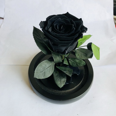 Preserved Rose in Mini Glass Dome-07