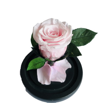 Preserved Rose in Mini Glass Dome-09