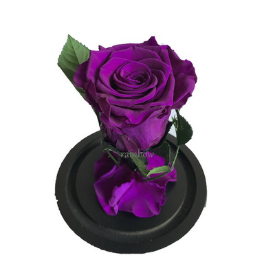 Preserved Rose in Mini Glass Dome-03