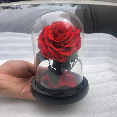 Preserved Rose in Mini Glass Dome-12