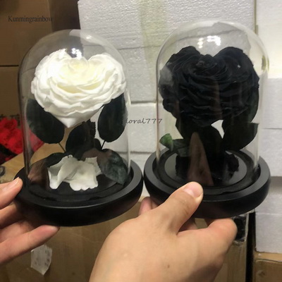 Preserved Rose in Mini Glass Dome-14 black