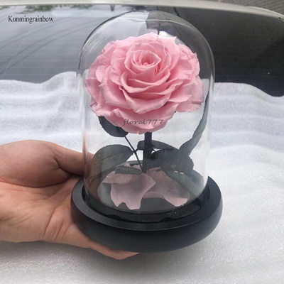 Preserved Rose in Mini Glass Dome-13