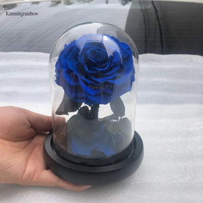Preserved Rose in Mini Glass Dome-11