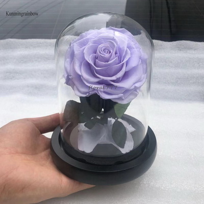 Preserved Rose in Mini Glass Dome-10