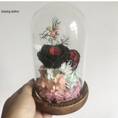 Preserved Rose In Glass Dome-31
