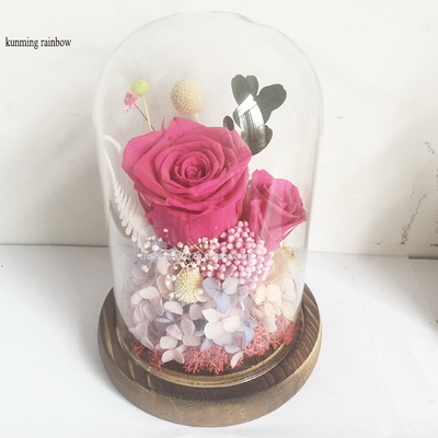Preserved Rose In Glass Dome-12