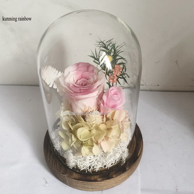 Preserved Rose In Glass Dome-23