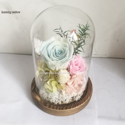 Preserved Rose In Glass Dome-17