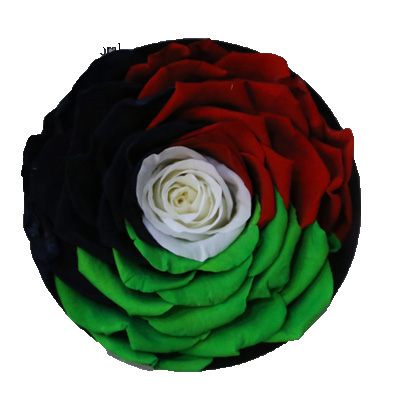 9-10CM Big Size preserved Rose head(1pcs-box)-18