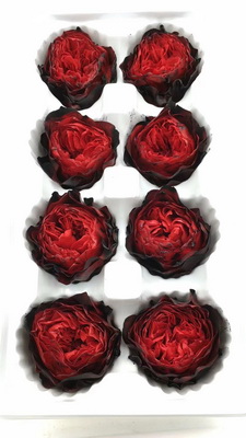 4-5CM (8pcs-box)Austin Preserved Roses-15