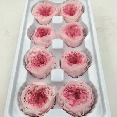 4-5CM (8pcs-box)Austin Preserved Roses-21