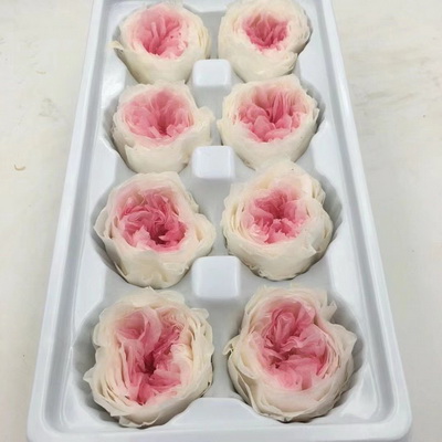 4-5CM (8pcs-box)Austin Preserved Roses-04