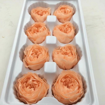 4-5CM (8pcs-box)Austin Preserved Roses-11