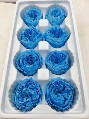 4-5CM (8pcs-box)Austin Preserved Roses-05