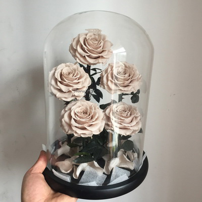Five-5 Preserved Rose In Glass Dome-Nude Color