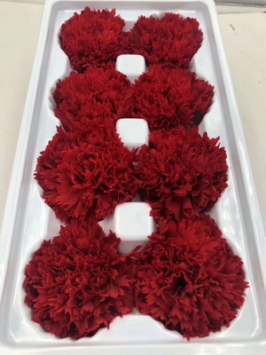 4-5CM(8pcs-box) Preserved Carnation head-02