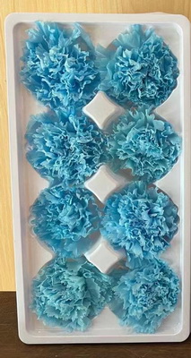 4-5CM(8pcs-box) Preserved Carnation head-11