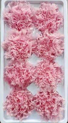 4-5CM(8pcs-box) Preserved Carnation head-05