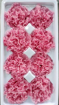 4-5CM(8pcs-box) Preserved Carnation head-06