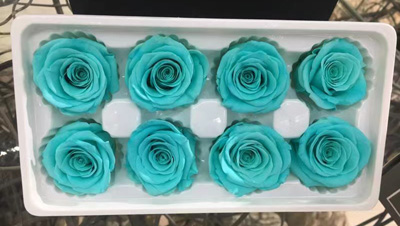 4-5CM (8pcs-box) Solid color preserved rose head-13